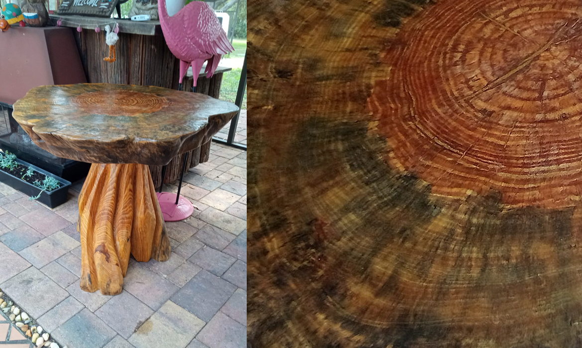 Tree Trunk Tables carved from a single piece