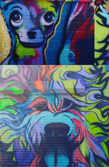 Murals,
                Graffitti Art, Tampa Bay, St. Petersburg, Clearwater,
                Florida
