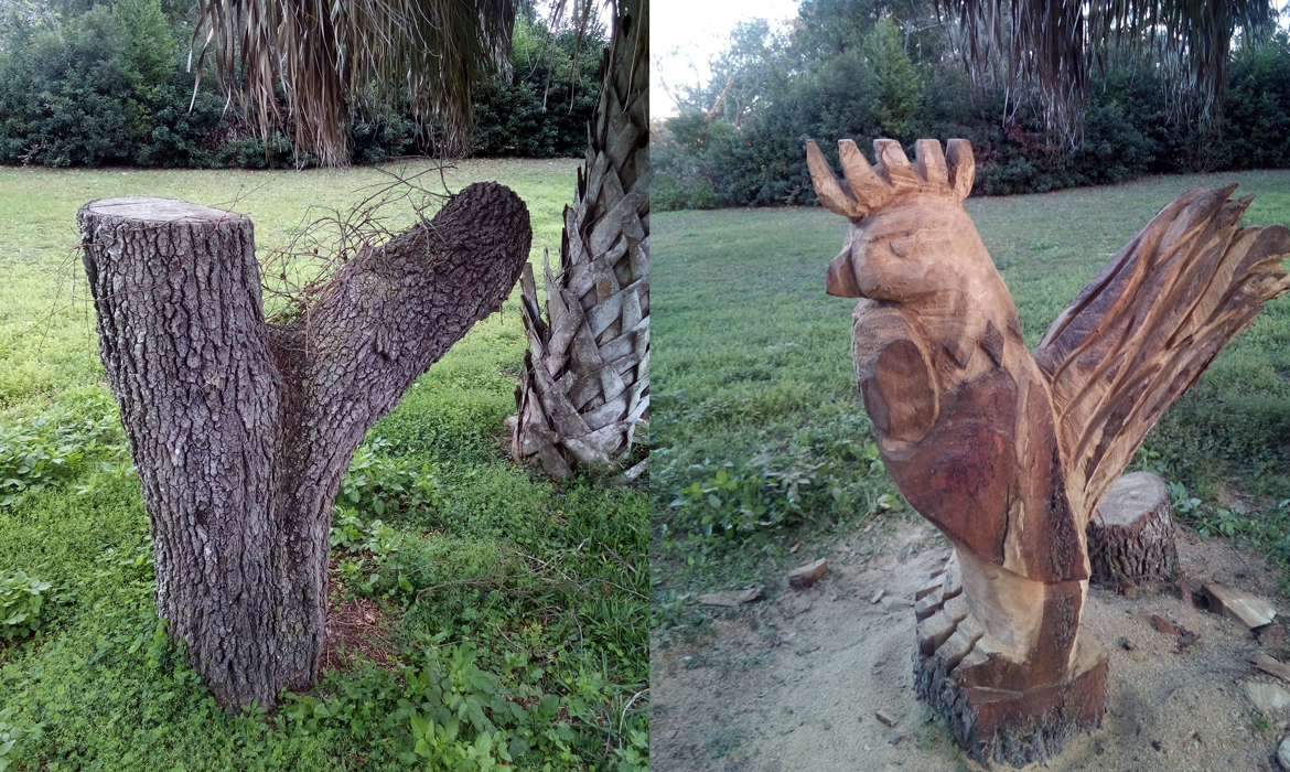 Rooster Carving from a tree trunk in Pasco County,
                FL